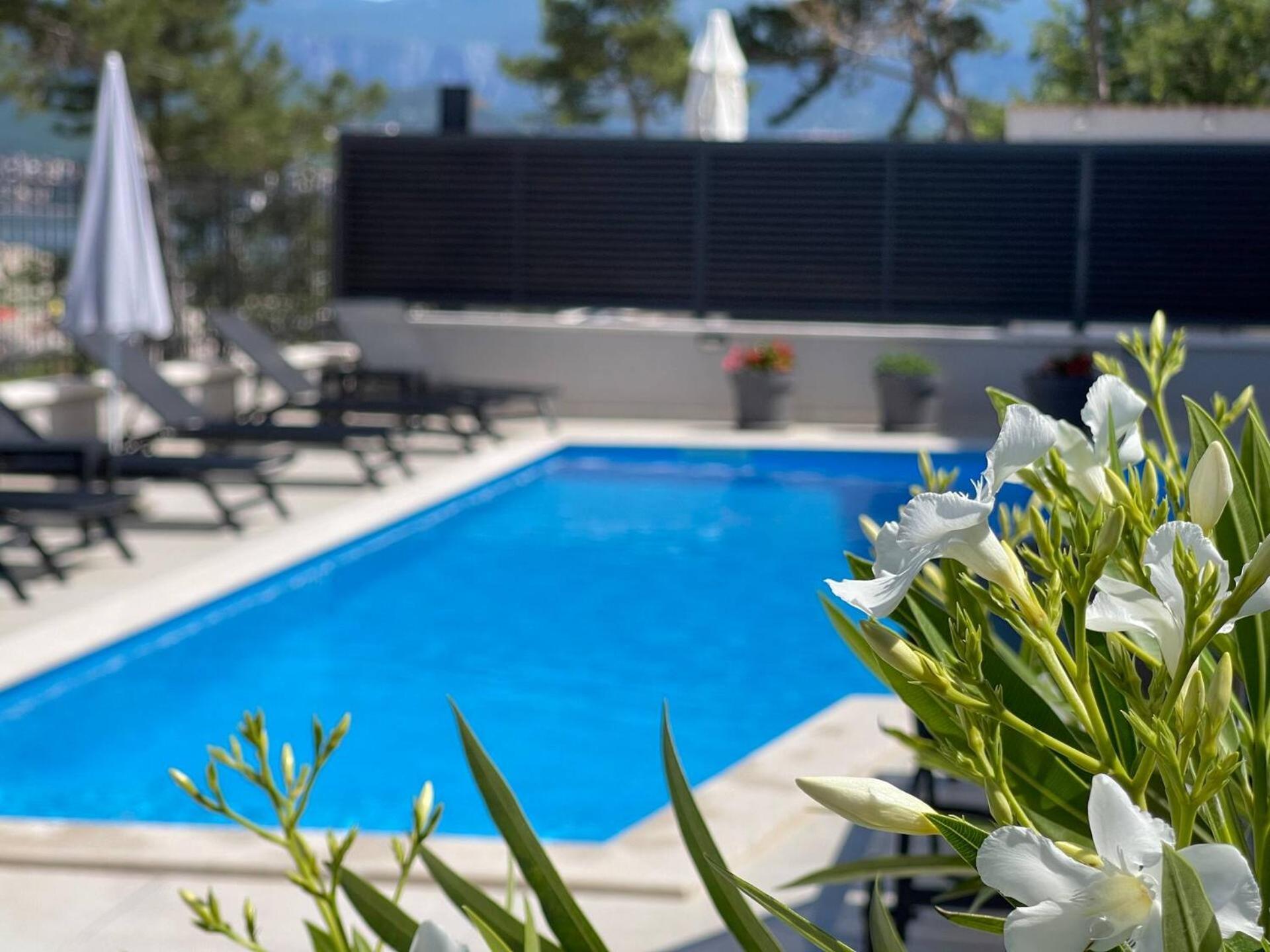 Villas Punta Silo - Luxury Apartments With Pool Εξωτερικό φωτογραφία
